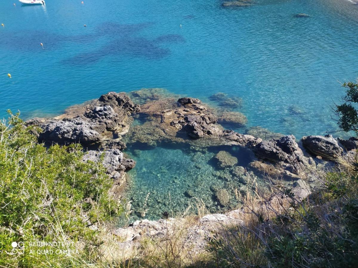 Villa Max San Nicola Arcella Exterior photo